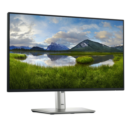 Monitor Modelo P2425H LED 24